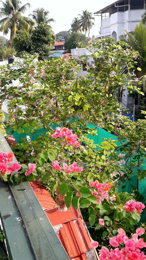 Heavenly Homestay Kochi Zewnętrze zdjęcie