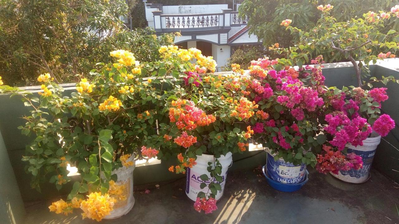 Heavenly Homestay Kochi Zewnętrze zdjęcie
